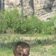 Алексей, 42 (1 фото, 0 видео)