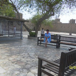 Елена, 60