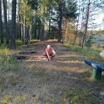 Дмитрий, 46 (1 фото, 0 видео)